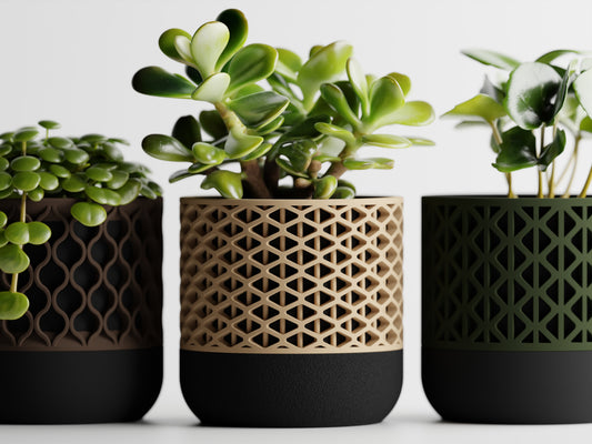 Synora Two-Tone 3D Printed Pot