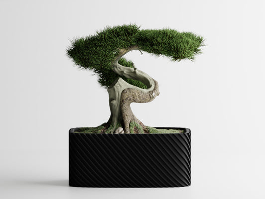 Fine Rib Rounded Rectangle Low-Profile 3D Printed Pot
