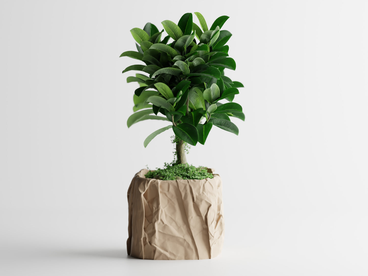 Crumpled Paper Pot Square 3D Printed Pot