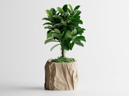 Crumpled Paper Pot Square 3D Printed Pot
