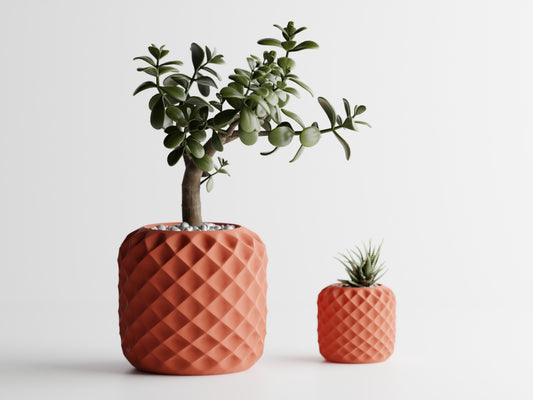 Crystal Bloom 3D Printed Pot