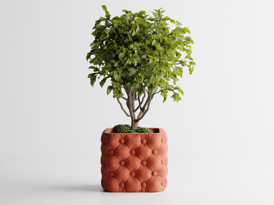 Chesterra 3D Printed Pot