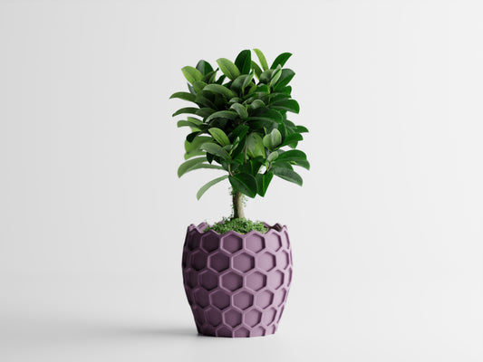 Beehavia 3D Printed Pot