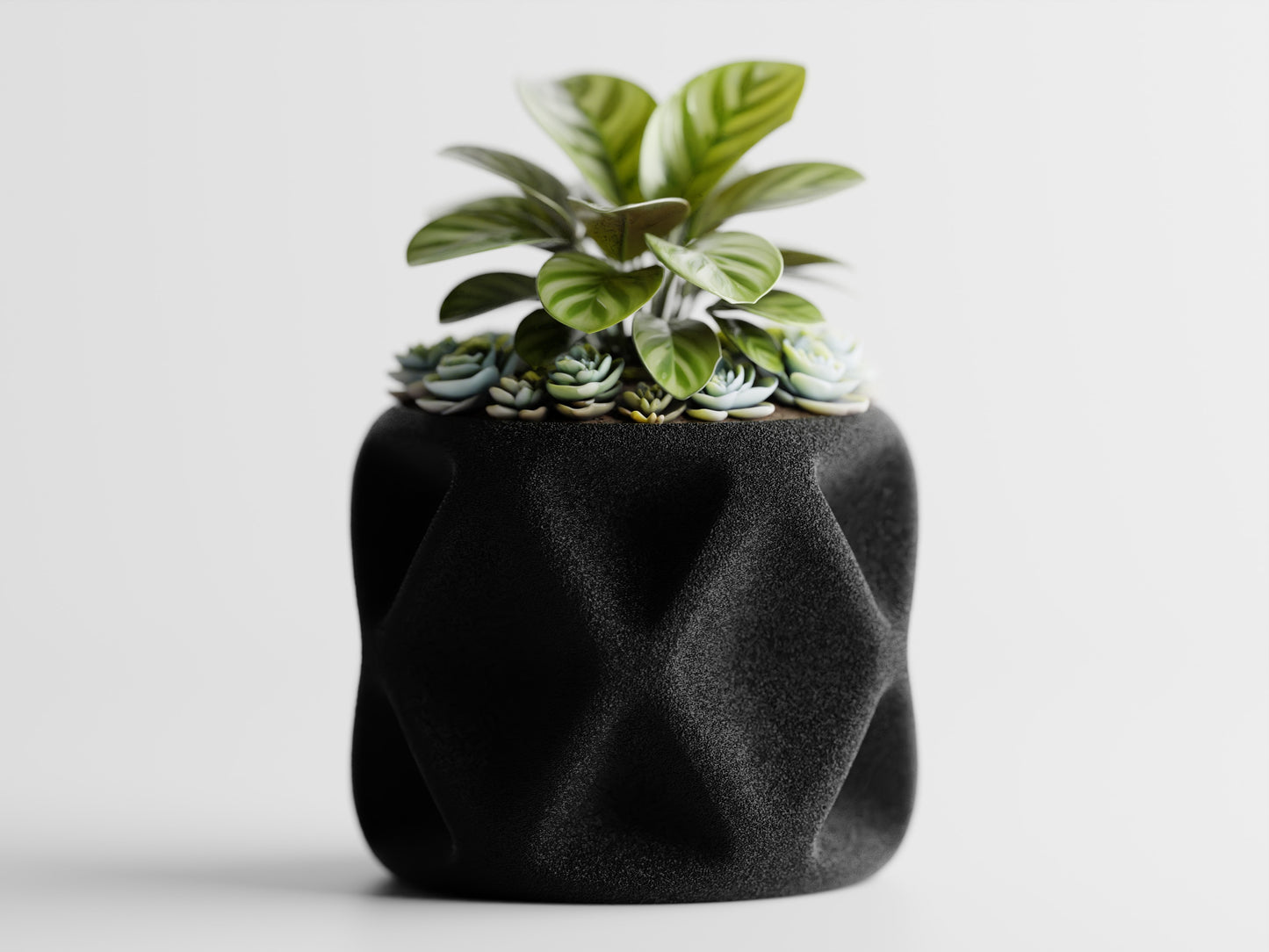 Tervielle 3D Printed Pot
