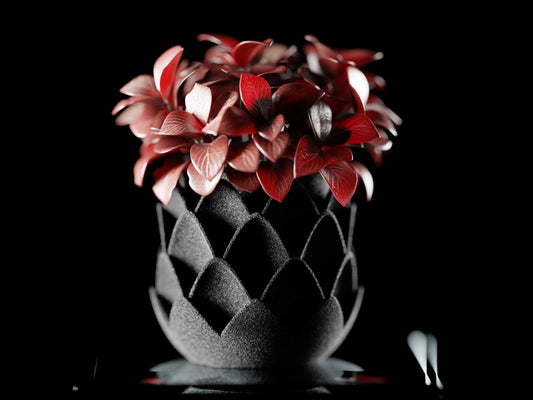 Phyllara 3D Printed Pot