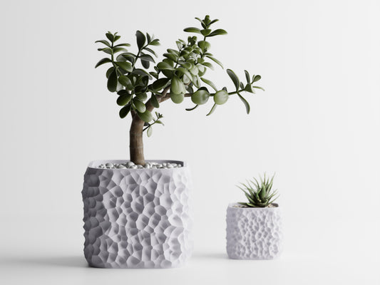 TerraForma 3D Printed Pot