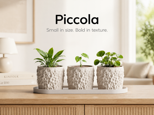 Piccola Pot Set 3D Printed Pot