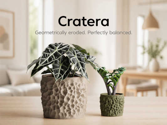 Cratera 3D Printed Pot
