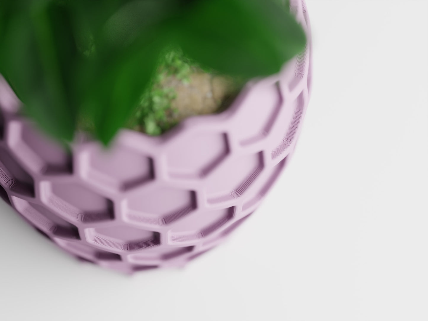 Beehavia 3D Printed Pot