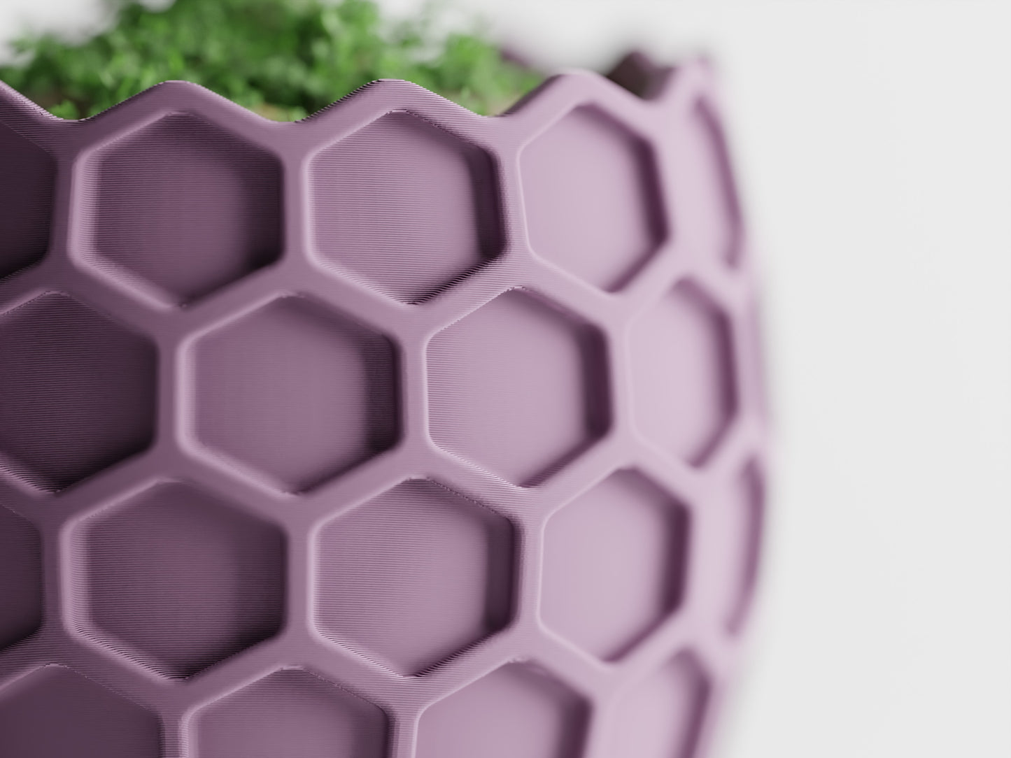Beehavia 3D Printed Pot