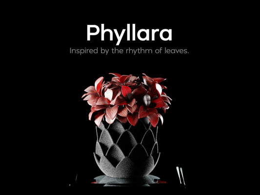 Phyllara 3D Printed Pot