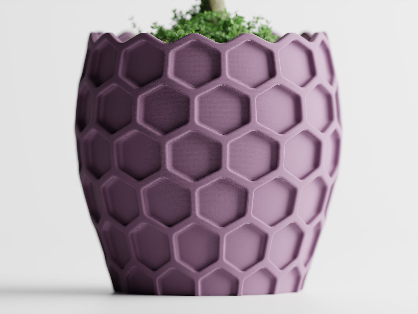 Beehavia 3D Printed Pot