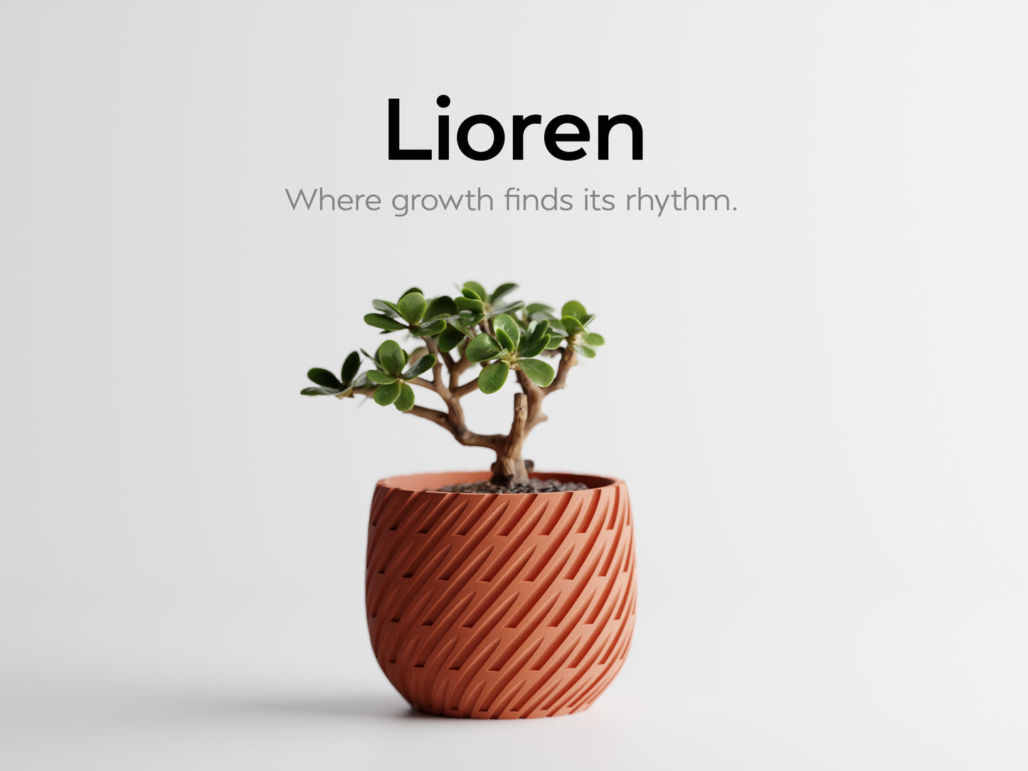 Lioren 3D Printed Pot