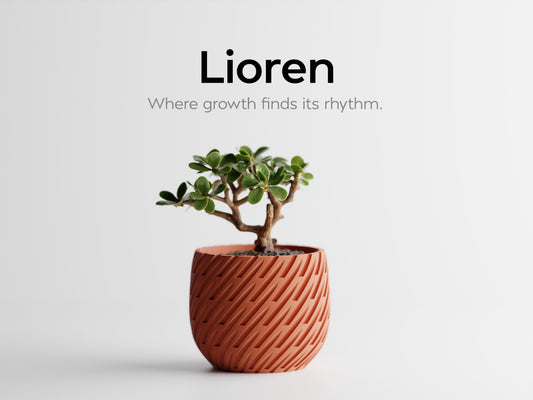 Lioren 3D Printed Pot