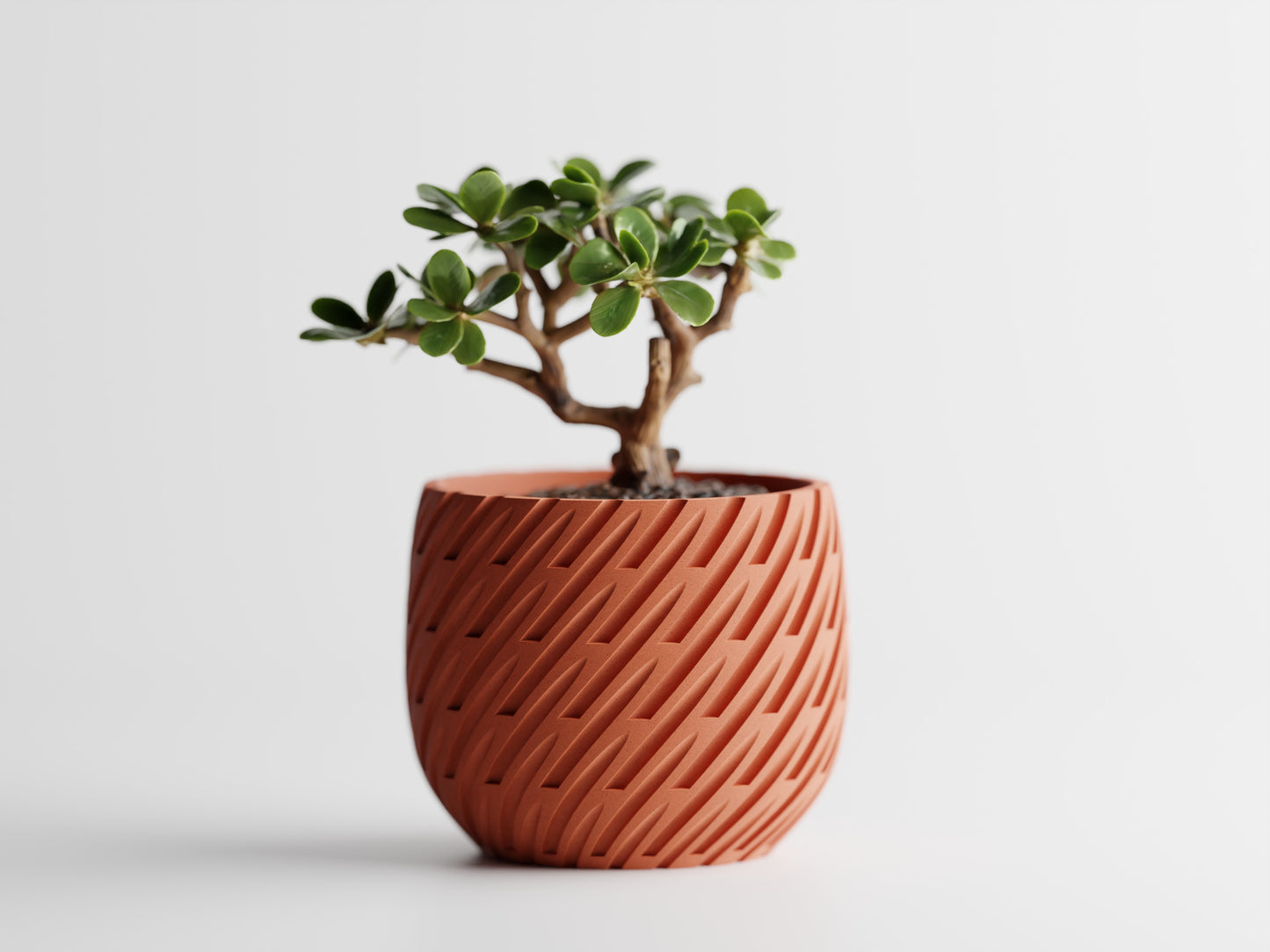 Lioren 3D Printed Pot