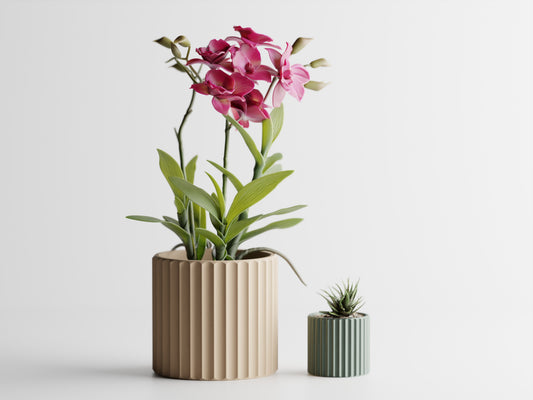 Muris 3D Printed Pot