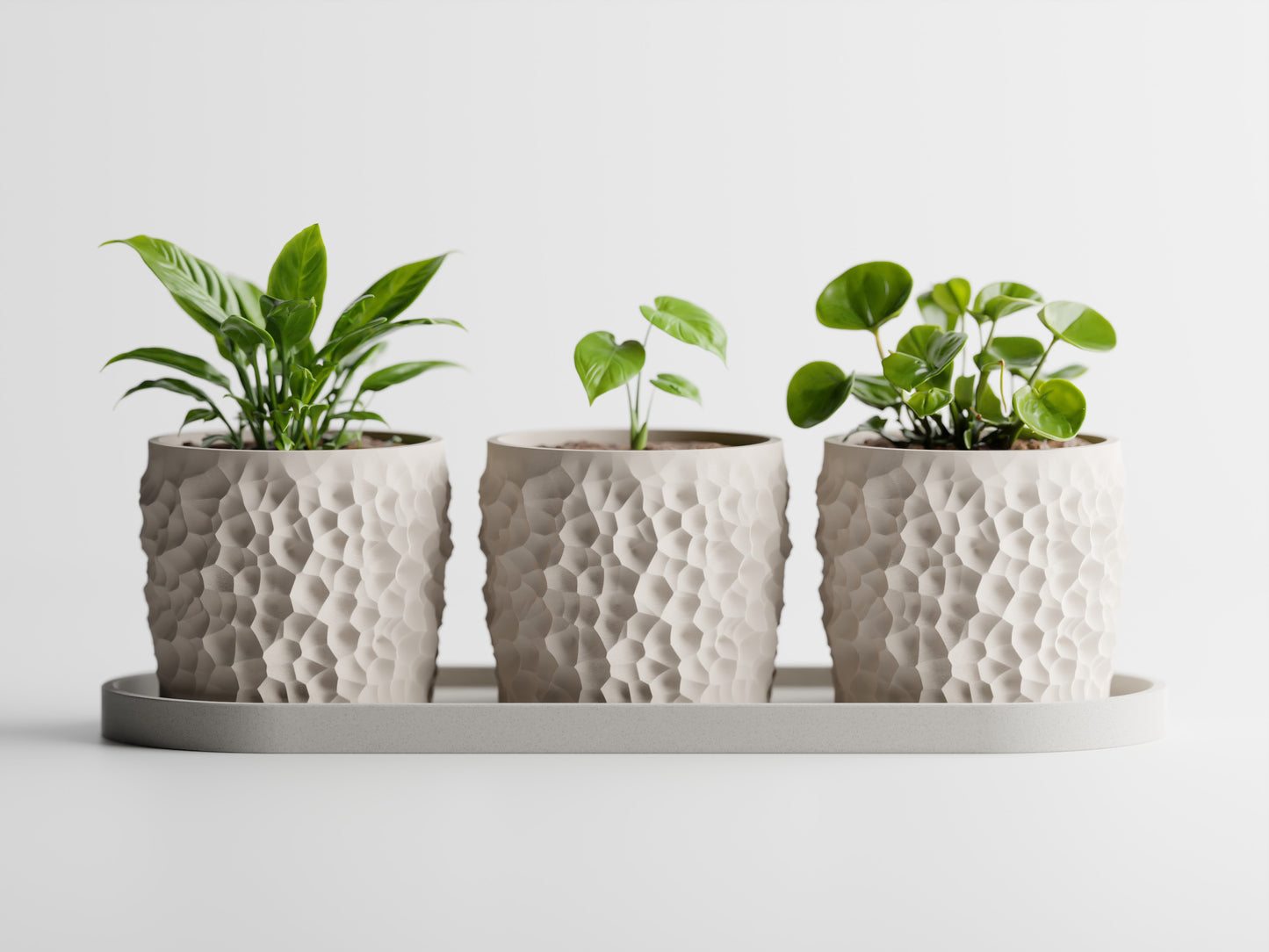Piccola Pot Set 3D Printed Pot