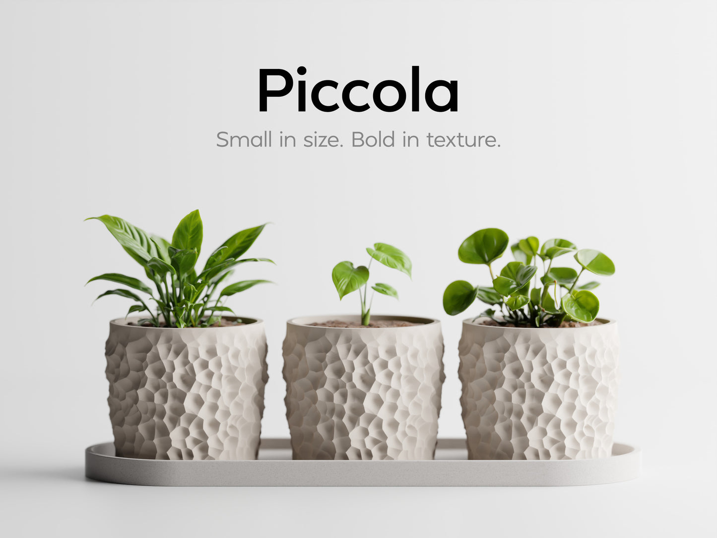 Piccola Pot Set 3D Printed Pot