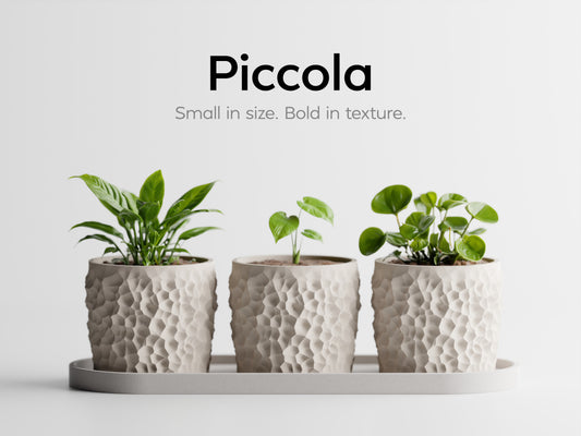 Piccola Pot Set 3D Printed Pot