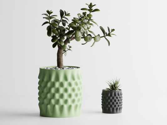 Dent 1 3D Printed Pot